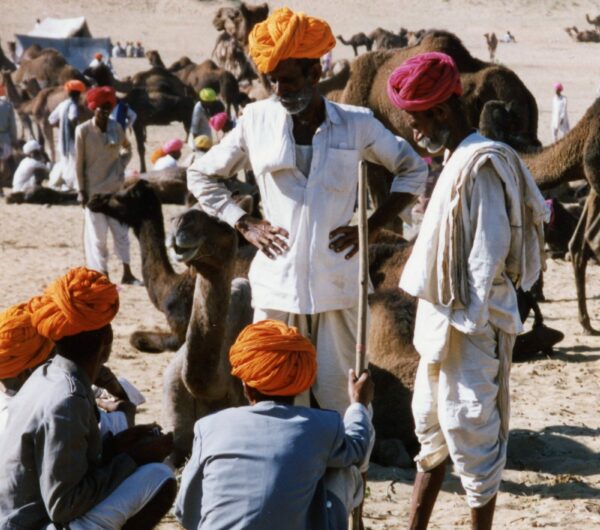 Pushkar Fair, Thar Desert, Rajasthan, India. Courtesy of Andrew Meissner, reprinted with permission.